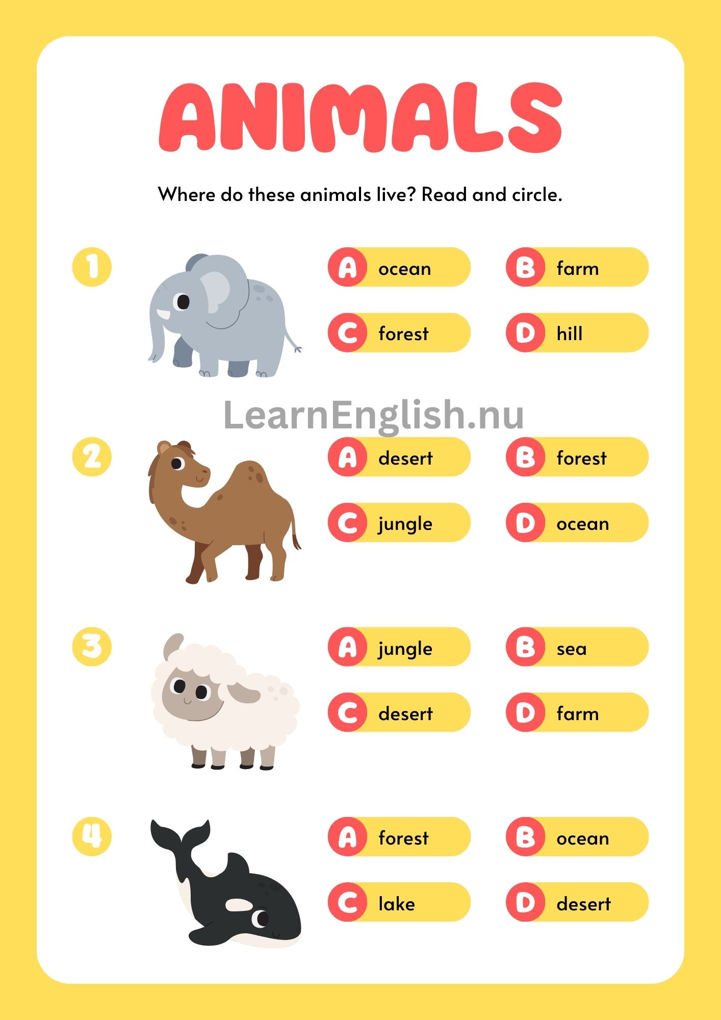 اسماء الحيوانات بالانجليزي بالصور والصوت